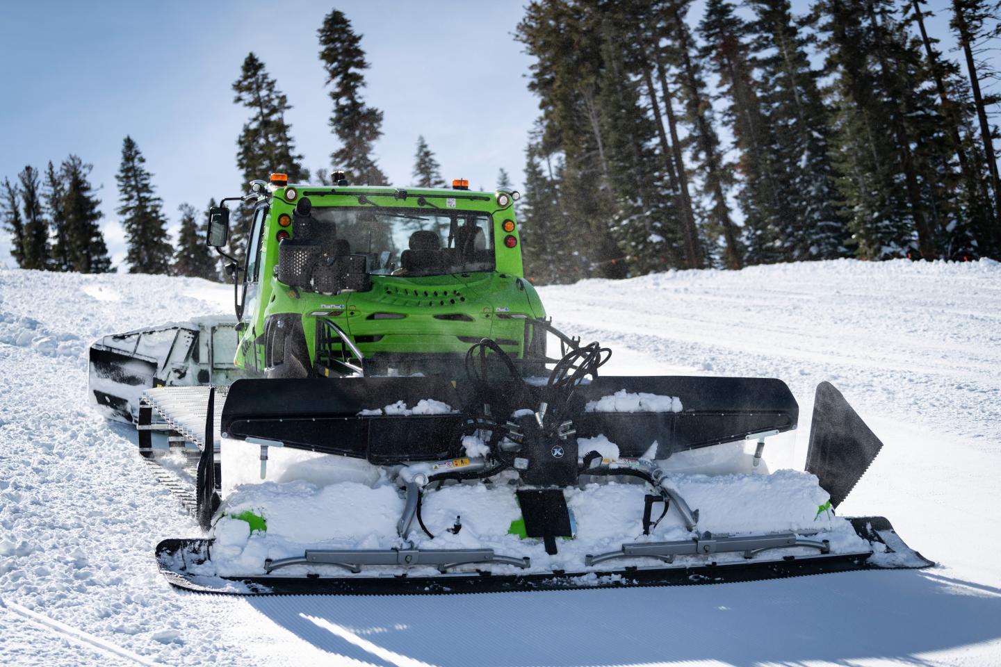 Green snowmobile parked on a snowy trail among tall pine trees.