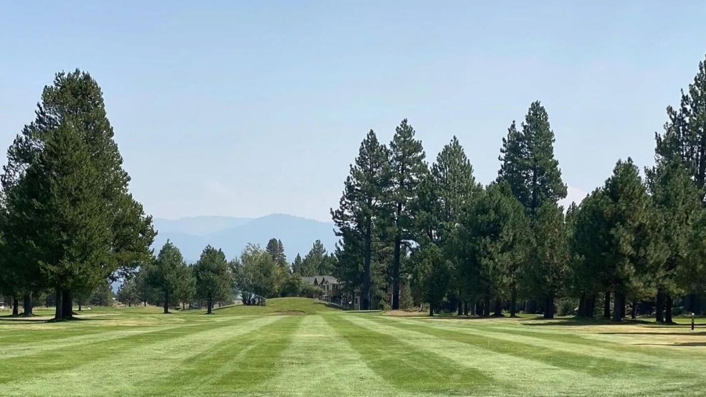 Manicured green fairway lined with tall trees under a hazy blue sky.