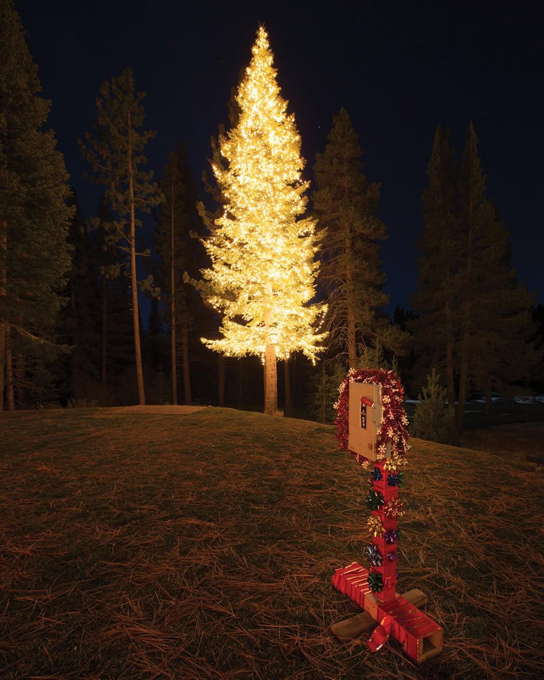 A glowing Christmas tree in a dark forest, with a red robot in the foreground.